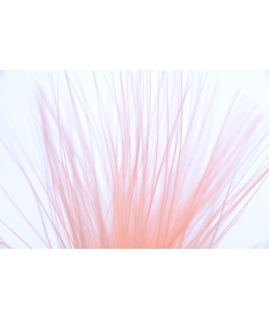 STRUNG MARABOU - coral